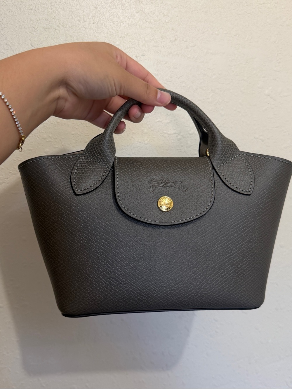 Longchamp epure xs tote bag (New)